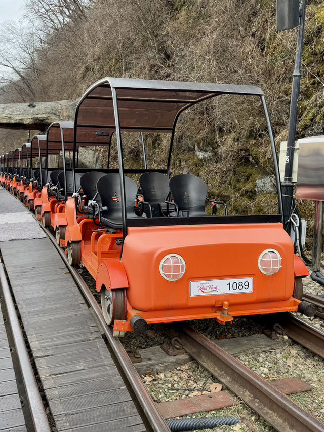 From Palaces to Alpacas: A Whirlwind Seoul Adventure