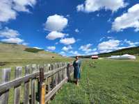 Mongolian steppe