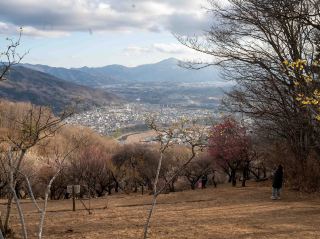 Autumn at the Summit of Mount Hodosan