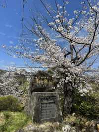 Nagasaki views