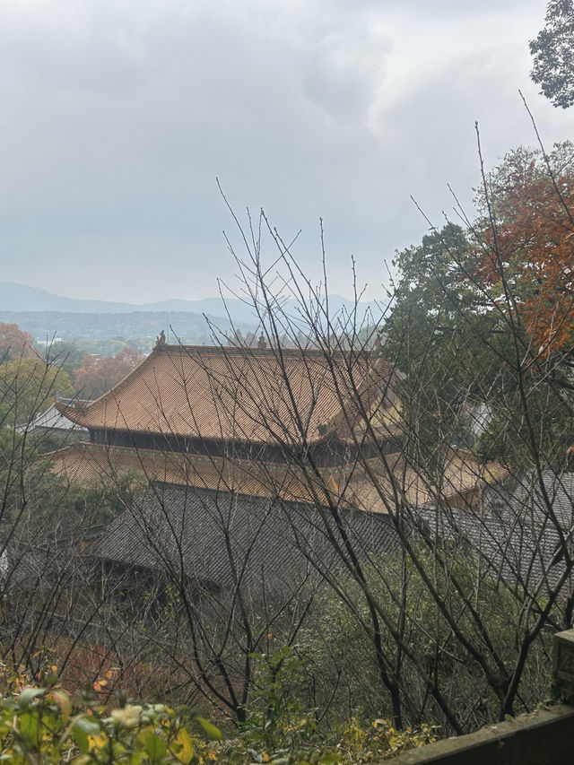 Jingci Temple: Echoes of Serenity Near West Lake 🍃🔔