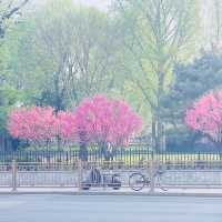 Beijing 6 Days Itinerary