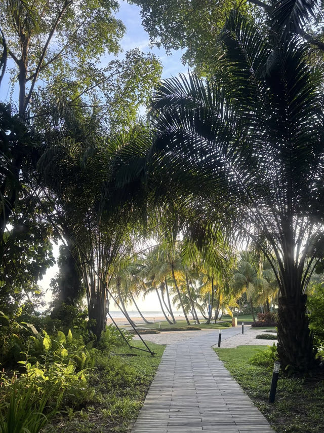 A Futuristic Escape to Forest City, Johor Bahru