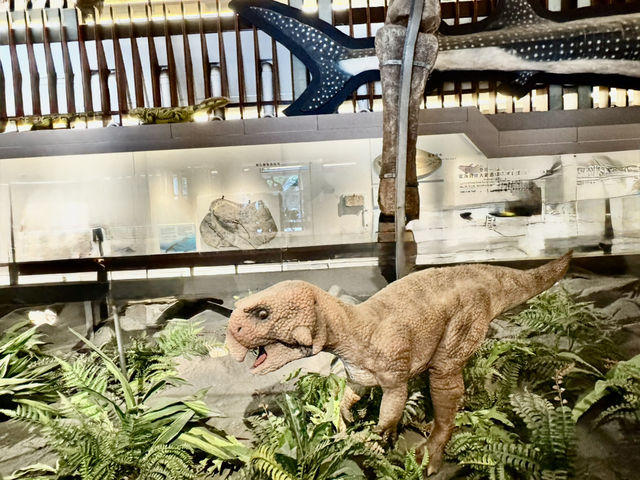 國立台灣博物館-古生物館竟然也是金融博物館！