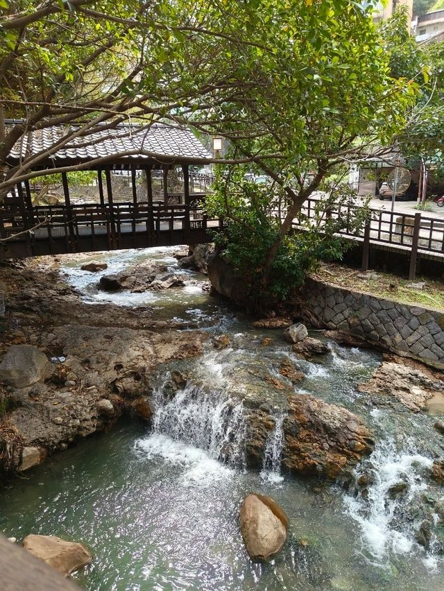 Where Old Meets Calm – Beitou’s Hidden Treasure