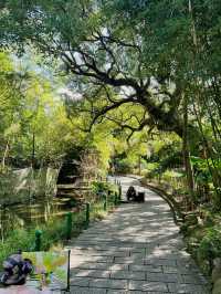 Taipei Botanical Garden