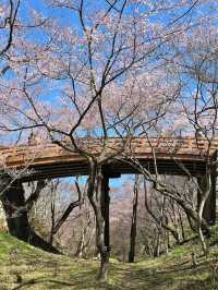 Takato Castle Park, Nagano