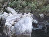 #米爾福德峽灣Milford Sound-紐西蘭南島