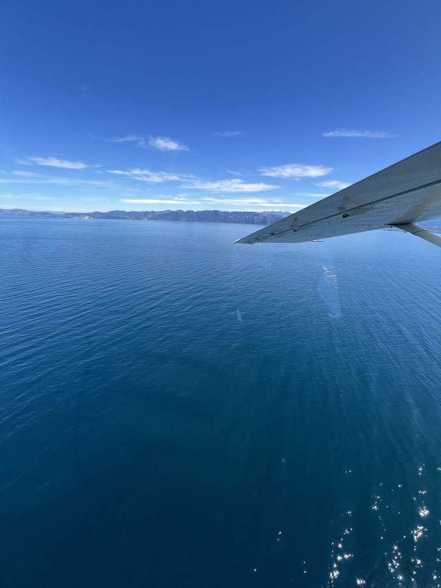 Soar Above the Ocean: Kaikōura’s Whale Watching by Plane