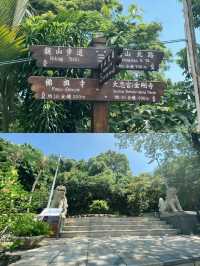 A Tranquil Escape: Jiantan Park 