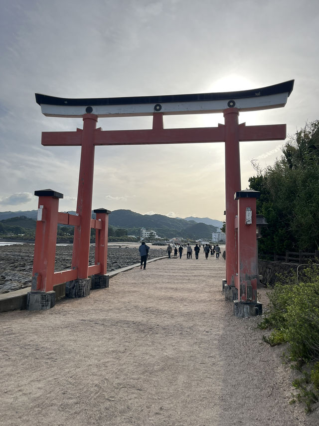 【宮崎】青島神社⛩️