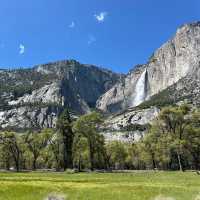 🏞️ **Yosemite Chronicles: Where Nature Steals Your Breath (and Your Heart!)** 🌲