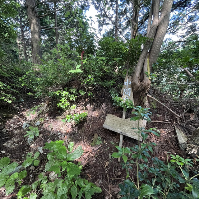 【局ヶ岳】⛰️ まつさかイレブン