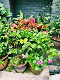 Green Bliss at Good Blue Men Café