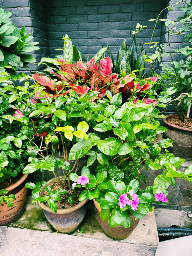 Green Bliss at Good Blue Men Café