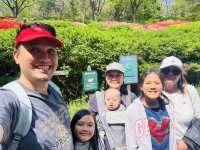 Hike Through The Magic of Hanyangdoseong