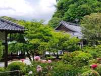 Choju-ji Temple: Kamakura’s Hidden Sanctuary