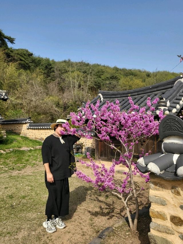 경북유산 고택에서 즐기는 특별한 하루