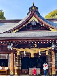 Suizenji Jojuen Garden: A Springtime Sakura Delight in Kumamoto