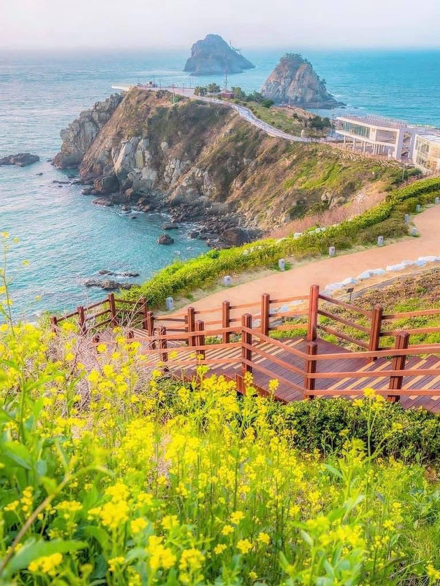 Đi đảo 오륙도 thì ăn gì ? Chơi ở đâu ?