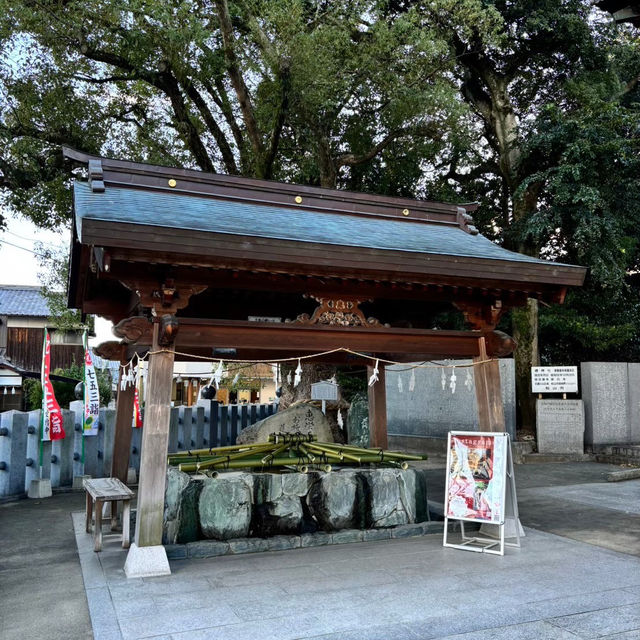 🇯🇵【愛媛県】伊豫豆比古命神社（別称:椿神社）！