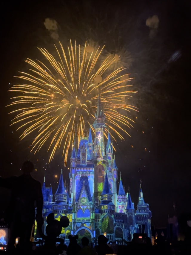 【アメリカ】フロリダディズニーの見どころ🐭🇺🇸