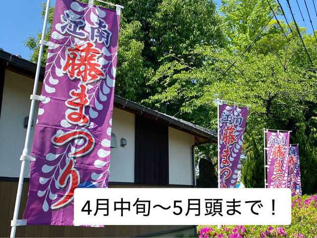 【限定イベント】曼陀羅寺公園の藤まつり