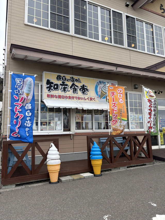 【羅臼】羅臼海鮮市場で味わう新鮮な海の幸！活気あふれる漁港の魅力