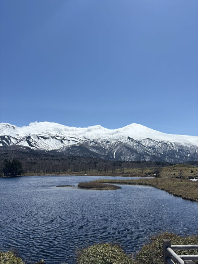 【世界遺産】知床五湖・高架木道で絶景散策！