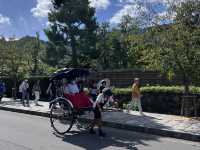 Kinkaku-ji: Kyoto’s Golden Jewel Among Zen Temples