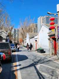 春遊：法源寺和白玉蘭撞個滿懷，爛縵胡同的可可愛愛