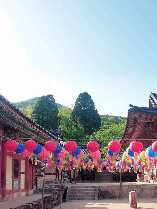 단아한 천년고찰 순천 선암사