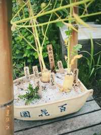 東京の庭園巡りは風流と花と自然を感じたいならココ！