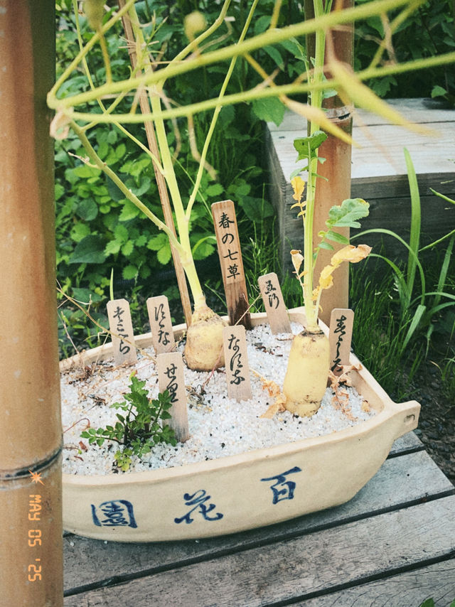 東京の庭園巡りは風流と花と自然を感じたいならココ！