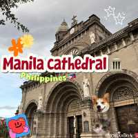 ⛪️✨🇵🇭Manila cathedral 📜🏛️