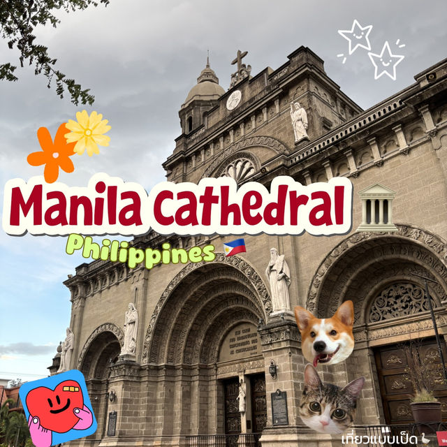 ⛪️✨🇵🇭Manila cathedral 📜🏛️