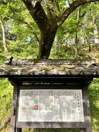 美好時光下的飫肥城下町