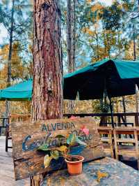 DAPITAN CITY: Nature, Calm and History