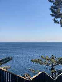Jeju Daepo Jusangjeollidae: Coastal Columns of Wonder