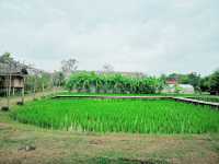 เที่ยวหมู่บ้านอนุรักษ์ควายไทย สุพรรณบุรี