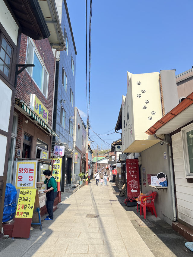 포항에서 느끼는 일본소도시 감성 일본인가옥거리