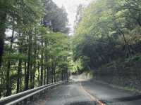I found Japan’s Most Peaceful Spring Hike at Lake Chichibu!