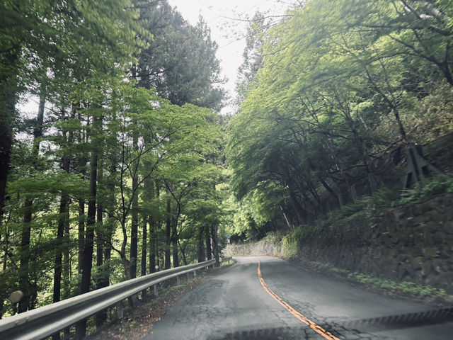 I found Japan’s Most Peaceful Spring Hike at Lake Chichibu!