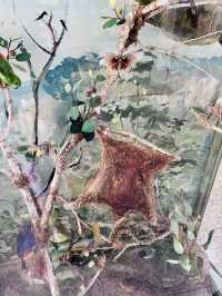 Discover Borneo’s Wonders at the Natural History Museum Kuching