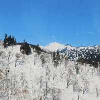 The white route : Tateyama Kurobe Alpine