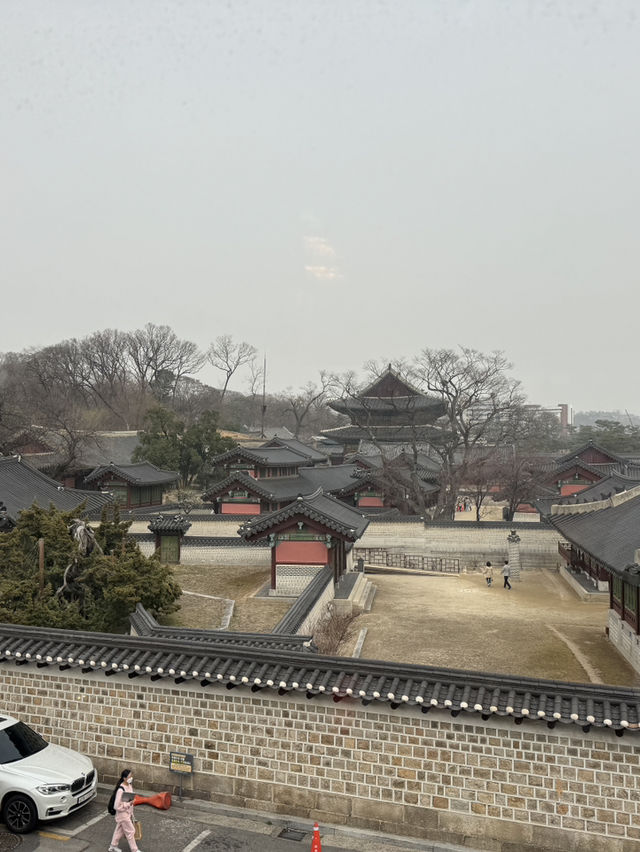 창덕궁이 보이는 회화나무카페