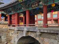 Cherry Blossom Templestay