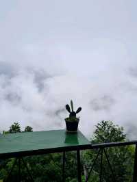 phahee valley เชียงราย
