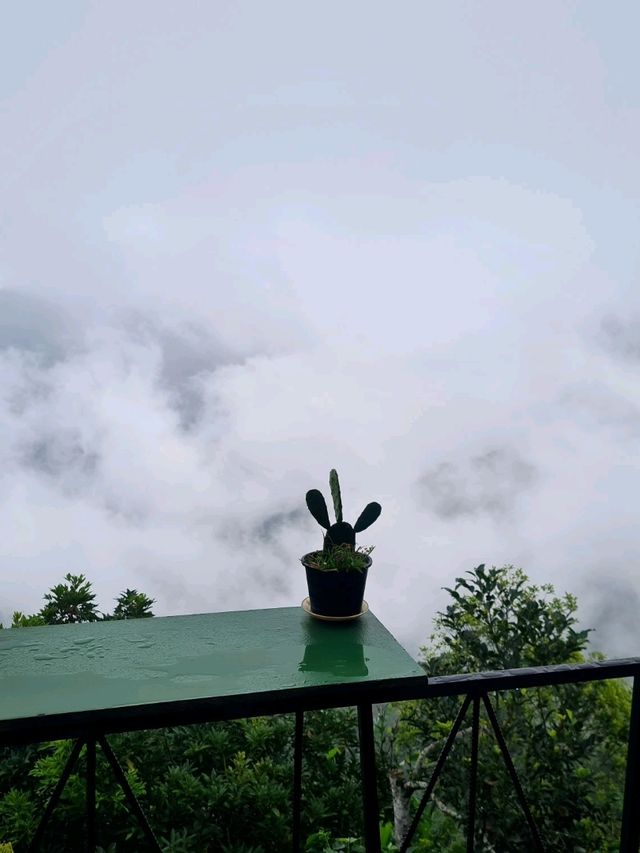phahee valley เชียงราย