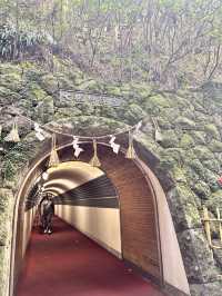 【福岡県篠栗町】春の南蔵院